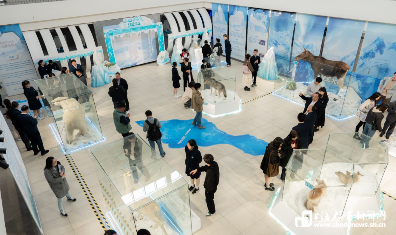 恐龙演化、极地探秘、大咖开讲……嘉定这场“科创校长空间站”活动为科学教育注入新活力