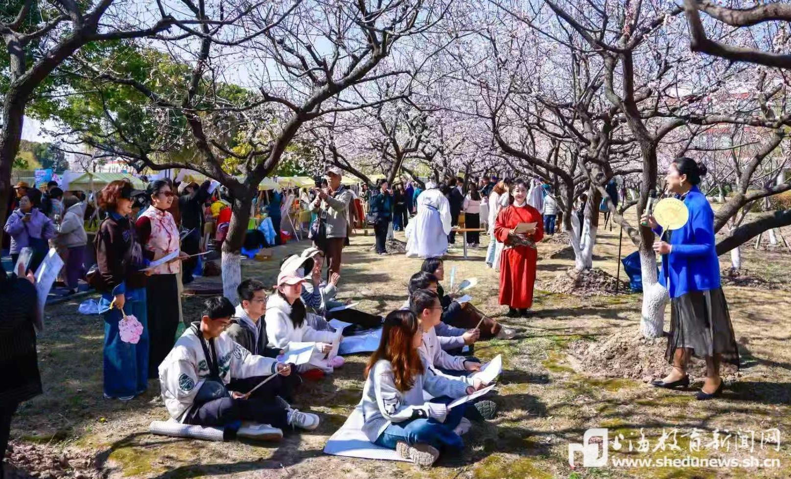 杏花深处有课堂，上海中医大用“大思政”铺展春日育人画卷