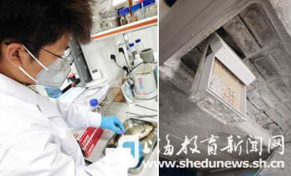 龟宠热潮席卷消费市场，大学生团队研发15分钟水宠AI健康管理解决方案